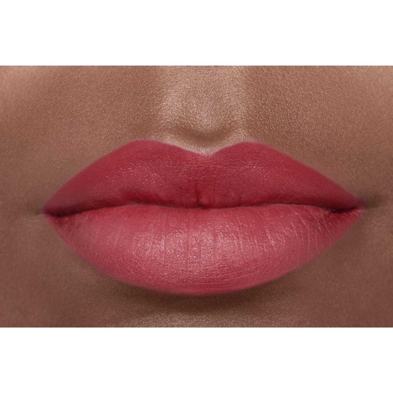 LA BARRA DE LABIOS ATERCIOPELADA LUMINOSA
